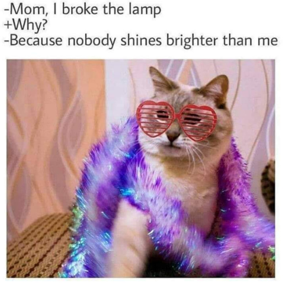 Meet the Posher - Picture 1 of 1